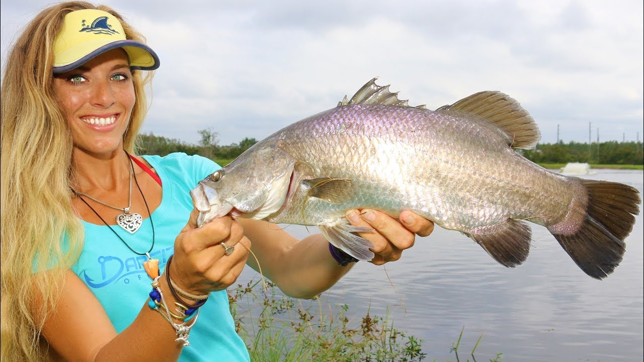 Fishing for the RAREST FISH in North America! ONE Place to Catch Them!