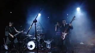 LINA STONER // LIVE 