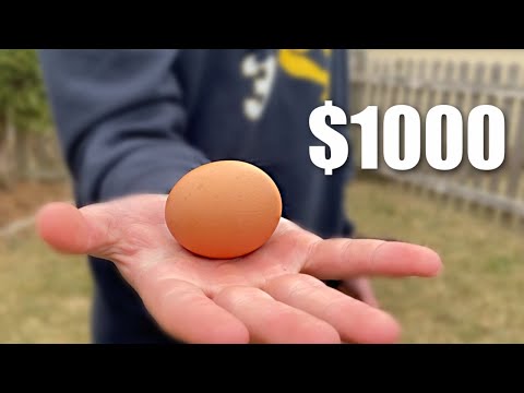 Break the Egg, Win $1,000