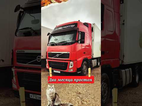 18 сентября 2025 г.
