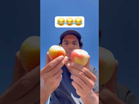 فاش كيتفرجو ولاد ختي 🤣