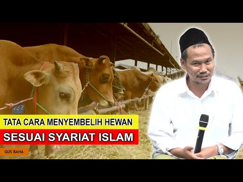 HARUS DIPAHAMI !!! Cara Menyembelih Hewan Sesuai Dengan Syariat Islam | Gus Baha