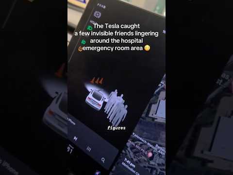 Tesla's Strange Detection😳