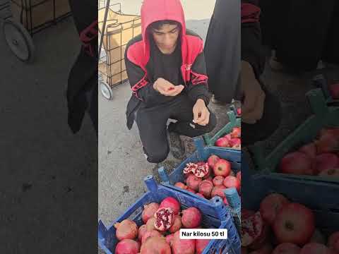saluh tadım tesiti