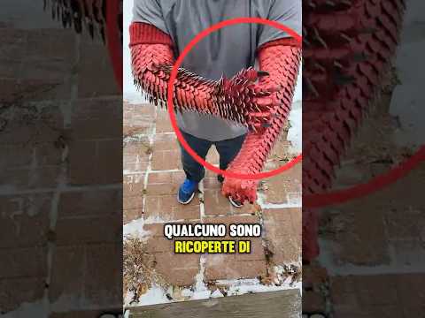 Come possono queste braccia essere così? 😱