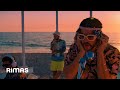 Understanding the Video Transcript
