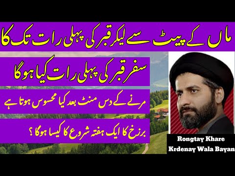 Maa Ke Pait Se Lekar Qabar Ki Pahli Rat Tak Ka Safar Moat Ke 10 Mint Bd.! Maulana Arif Hussain Kazmi