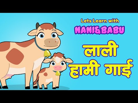 Lali Hamri Gai "लाली हाम्री गाई" | Nani Babu Nepali Rhymes for Kids | बाल गीत