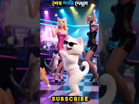 #funny #cat #animation #pets #funnycats #disneyanimatedcartoons #supercattalespaws #catvideos