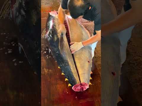 Masterful Precision: Cutting Otoro & Akami from a Giant Bluefin Tuna! #bluefintuna #otoro #akami