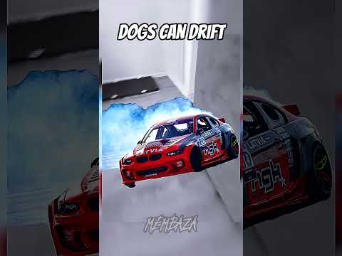 Dogs which can DRIFT pt2 #dog #drift #edit #