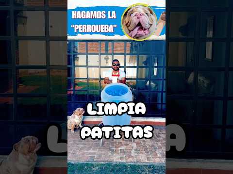 No comprés este limpiador de patitas