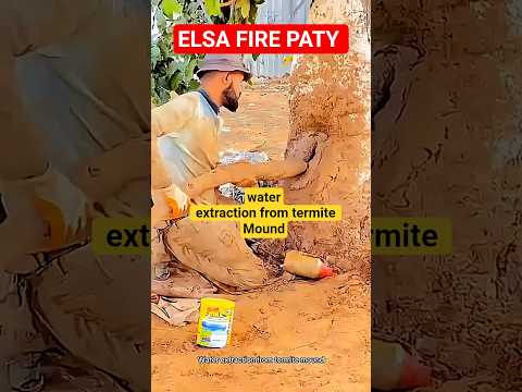 Extracting clean water from termite mounds.โบ๏ธ#water