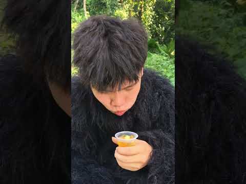 A gorilla steals jelly from a boy #gorilla #wildlife #animals #forest