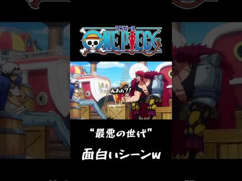 利害一致せず、三船長の進路会議は大荒れ!笑#ワンピース #onepiece #ワンピース面白いシーン#ワンピース最新話 #ワンピース悲しいシーン#ワンピースギャグシーン