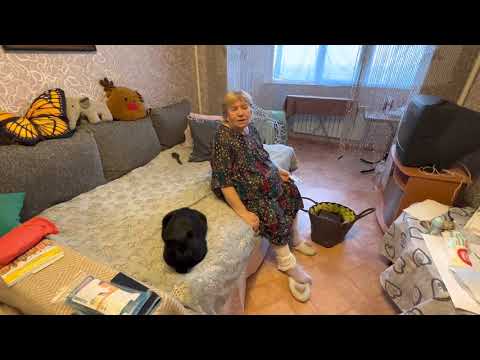 Снимаю на новый айфон! Проведал Надю! Сделали перевязку