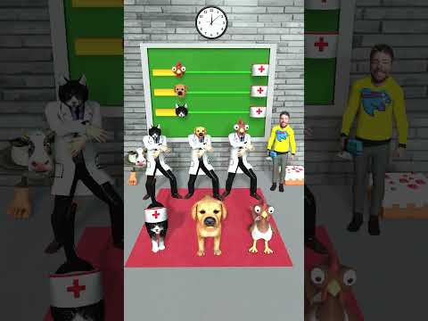 Chicken, poor Cat Vs Dog cute? Which animal can get the doctor hat for its owner?