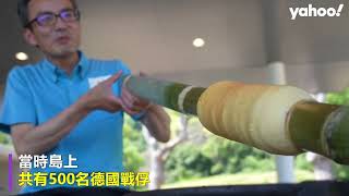 戰爭史揭日本「年輪蛋糕」起源 百年前由德國戰俘傳入 征服日本人成獨特文化