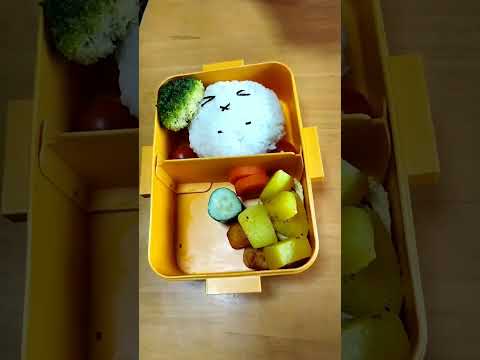വീണ്ടും ഒരു ജപ്പാൻ മലയാളി "ഒബെന്തോ" | Malayali in Japan