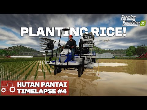 CREATING AND PLANTING RICE FIELDS!!! Hutan Pantai FS25 Timelapse Farming Simulator 25 Ep 4