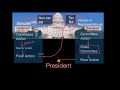 How a Bill Becomes a Law