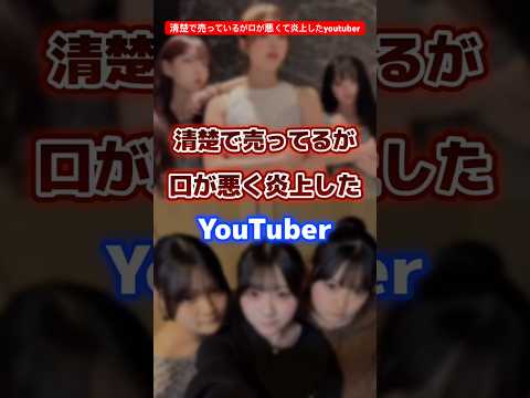 清楚で売っているが口が悪くて炎上したyoutuber #youtuber #炎上