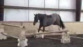 Willough Free Jumping
