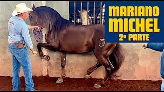 Presentador de Caballos | Técnicas, Rehabilitación y Ejercicios con Mariano Michel (2ªParte)