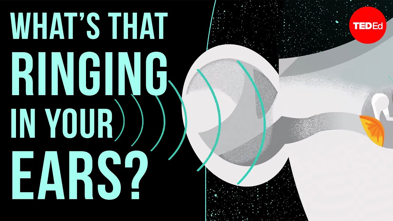 Whats that ringing in your ears? - Marc Fagelson