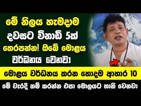 මේ නිලය හැමදාම දවසට විනාඩි 5ක් තෙරපන්න! - ඔබේ මොළය බලන් ඉදීදී වර්ධනය වෙනවා - මොළය වර්ධනය කරන ආහාර