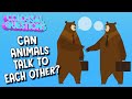 Animal Communication and Behavior