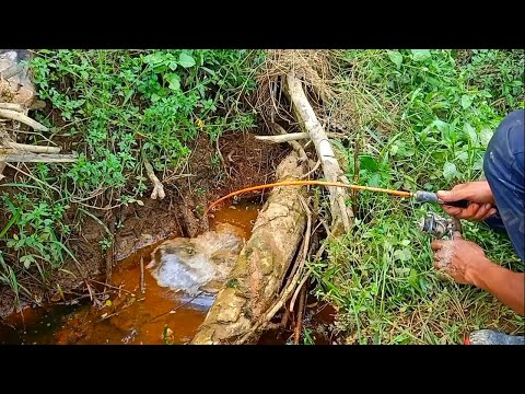 PEMANCING IKAN LEMBAT | MANCING IKAN LEMBAT HITAM DI LUBANG | fishing 2024