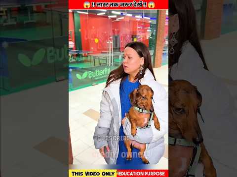 Building Wooden Log Cabin in Forest 🌲 🎈 -Survival House Step by Step"78 #shorts