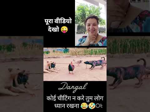 लड़ाई वो भी ऐसी #relatable #reaction #funny #youtubeshorts