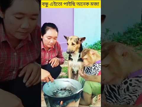 বন্ধু অনেক মজা। Friends, it's a lot of fun 🐕🐒#shorts #dog #friendship