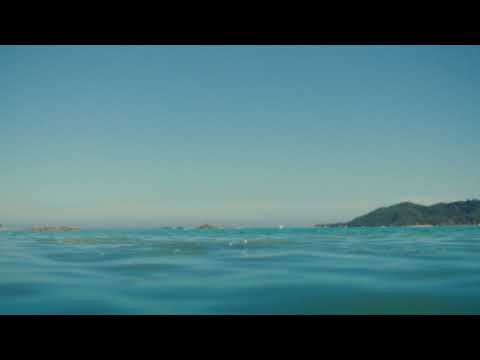 Happiness is calling - Snorkel