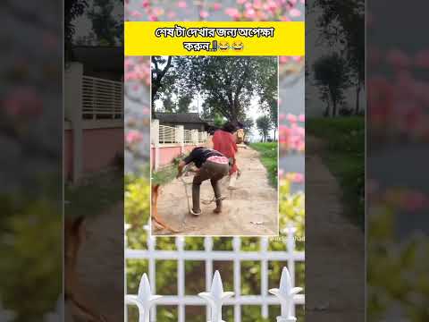 শেষে এটা কি হলো..!!😂 #music #song #hindisong #arijitsingt #funnysong #comedysong #coversong #reels