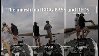 MR GO Marsh put out some BIGG BASS and REDS!!!