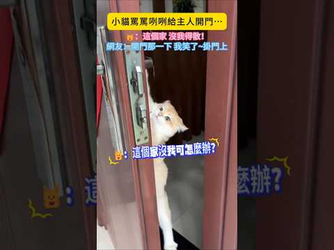 小貓罵罵咧咧給主人開門💢…🐱：這個家沒我可怎麼辦😾？網友：開門那一下 我笑了 挂门上了💥#cat #cute #shorts #cutecat #funny