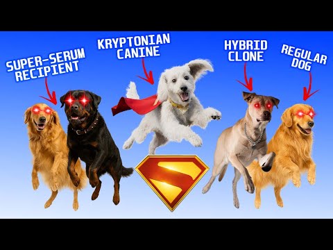 Krypto the Super-Dog: Every Live-Action Version Explained! (Superman 2025 Update)