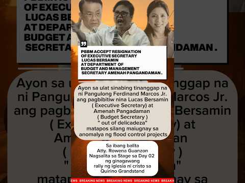 ES BERSAMIN AT DBM SECRETARY AMENAH PANGANDAMAN RESIGN OUT OF DELICADEZA