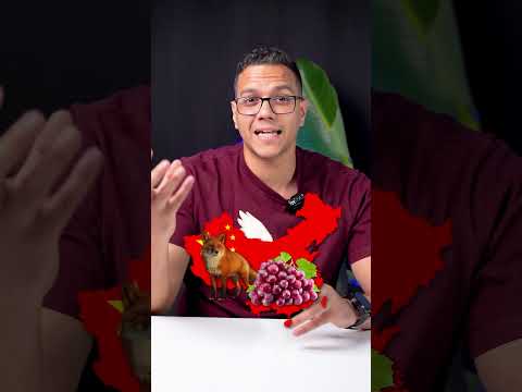 أنت عارف ان مفيش فاكهة اسمها كيوي في العالم كله !