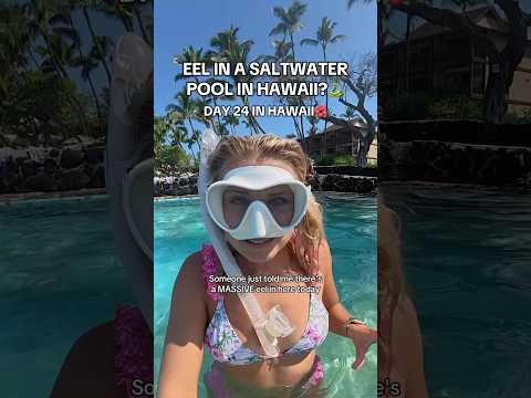 Do you think the eel unalived that fish?!👀🐍🐟#hawaii #hawaiitrip #hawaiitravel #hawaiifood