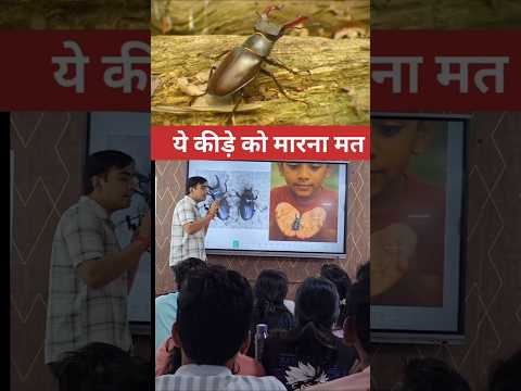 ये कीड़े को कभी मत मारना 😱 #fact #facts #knowledge #information #education