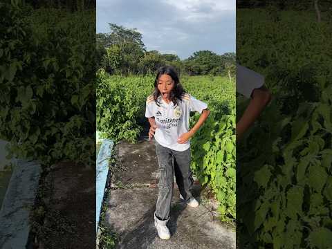 Mi pollito se cayó en una piscina abandonada 😱😰