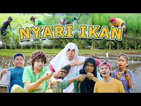 NYARIK IKAN DI SAWAH