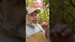 Sweet horses and green grass. Has this ever happened to you?👇 #camping  #horses