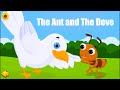 The Ant and the Dove Story