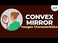 Understanding Convex Mirrors