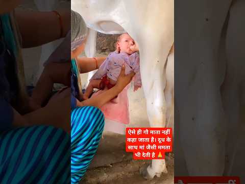 जय हो मैया 🙏🙏🥰